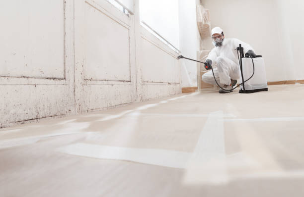 24/7 Emergency Commercial Mold Remediation experts in Jackson, TN